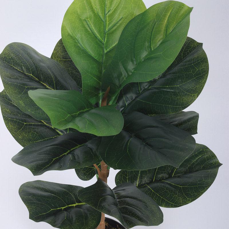 Buy Faux Realtouch Green Fiddle Leaf Fig Tree With Pot - 2.5 Feet Artificial Plants from Vaaree