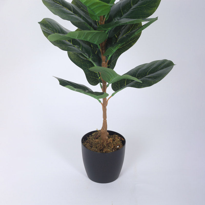 Buy Faux Realtouch Green Fiddle Leaf Fig Tree With Pot - 2.5 Feet Artificial Plants from Vaaree