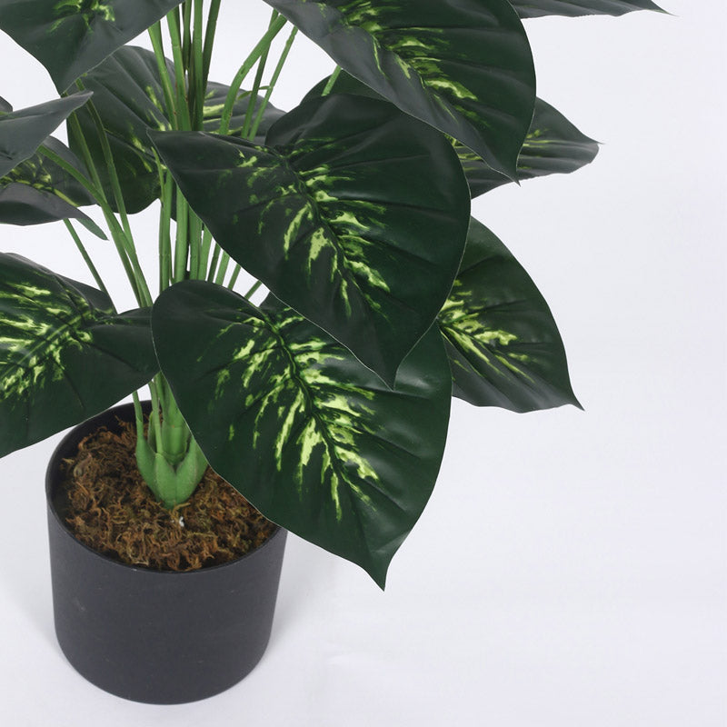 Buy Faux Realtouch Green Dieffenbachia Tree With Pot - 3.3 Feet Artificial Plants from Vaaree