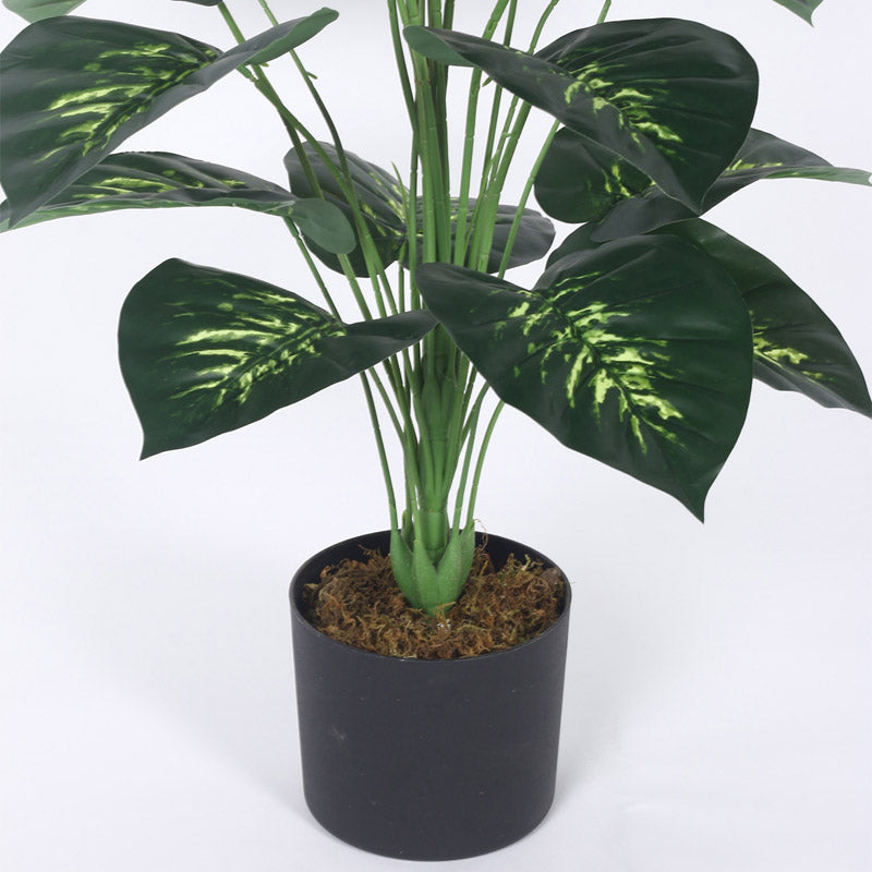 Buy Faux Realtouch Green Dieffenbachia Tree With Pot - 3.3 Feet Artificial Plants from Vaaree