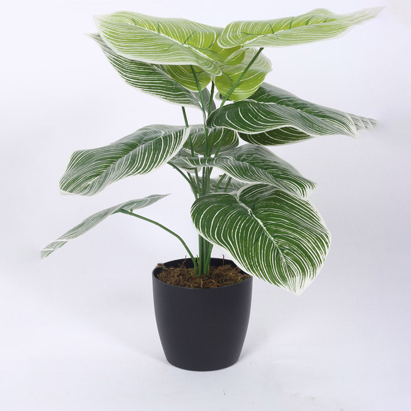 Buy Faux Realtouch White Dieffenbachia Tree With Pot - 1.8 Feet Artificial Plants from Vaaree