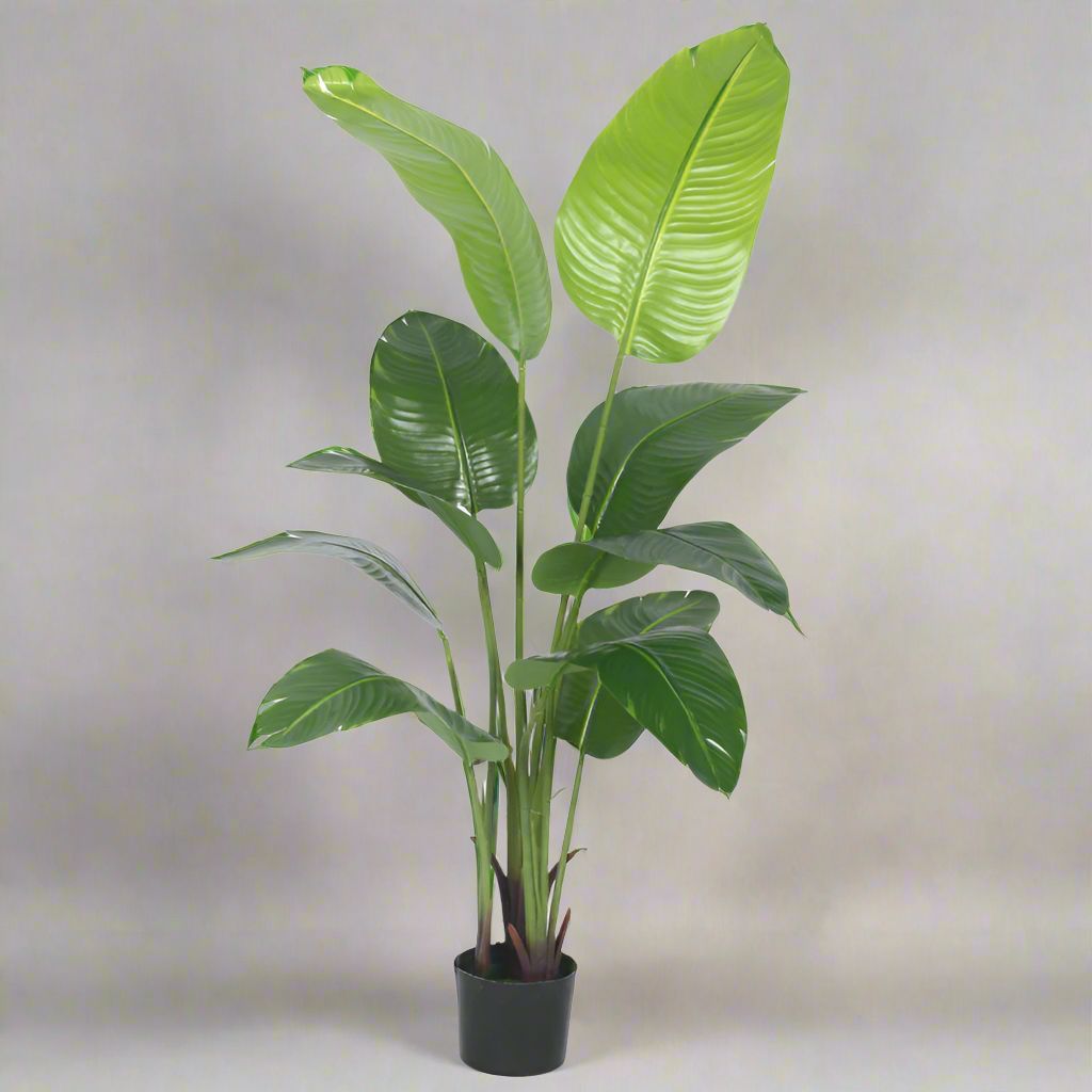 Buy Faux Realtouch Banana Plant With Pot - 4.9 Feet Artificial Plants from Vaaree