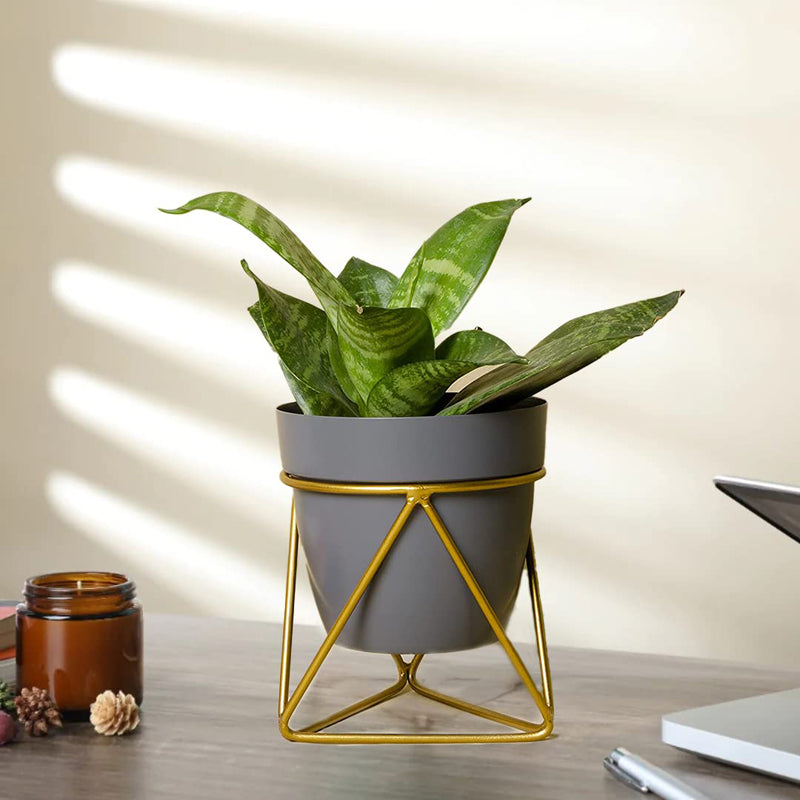 Buy Ricova Planter With Stand Pots & Planters from Vaaree