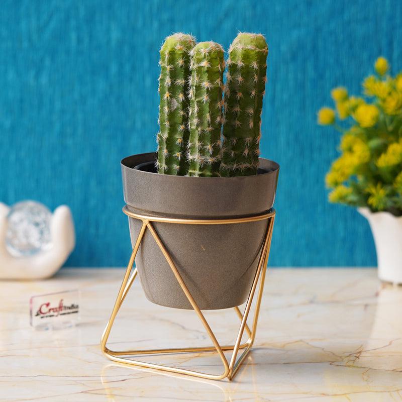 Buy Ricova Planter With Stand Pots & Planters from Vaaree