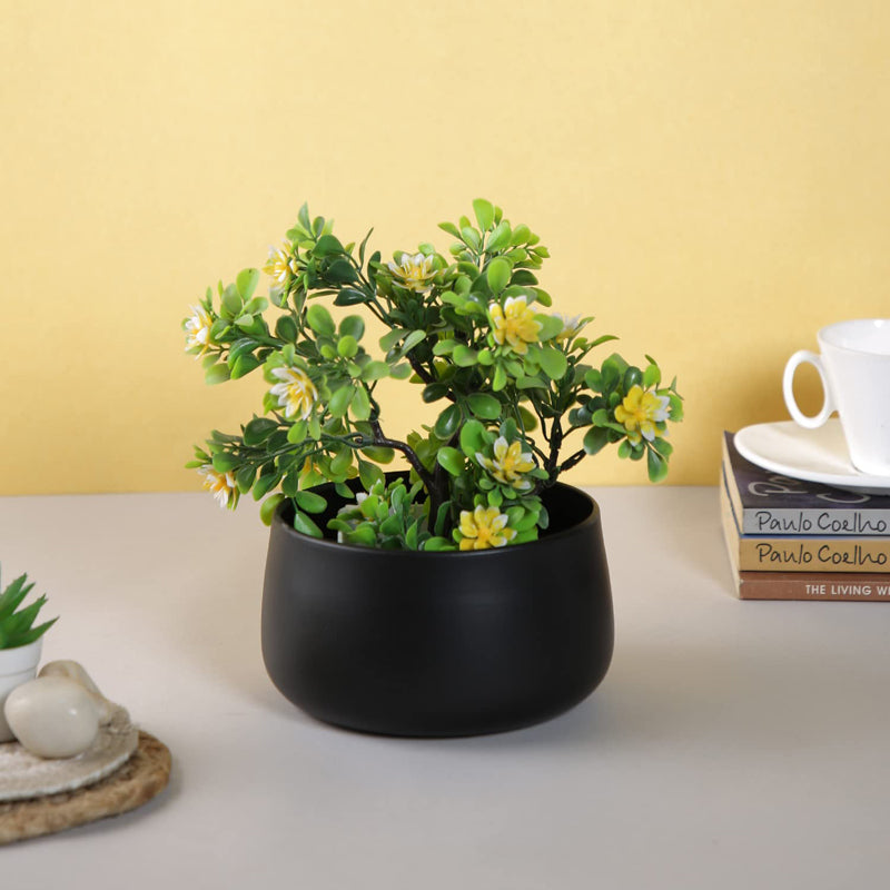 Buy Osca Round Planter - Black Pots & Planters from Vaaree