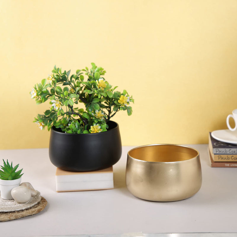 Buy Velcoma Planter Pots & Planters from Vaaree