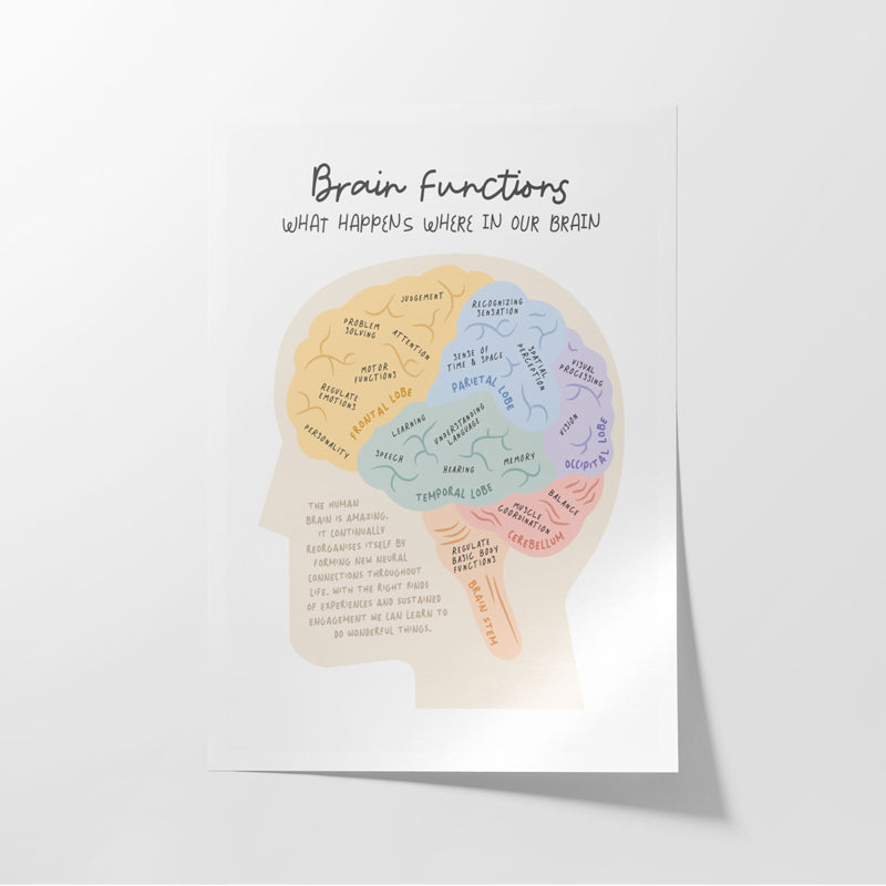 Buy Brain Functions Wall Poster Wall Poster from Vaaree