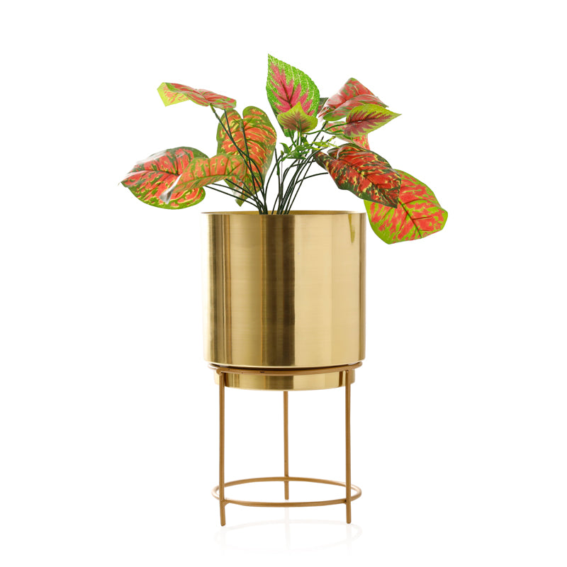 Buy Hemera Raagi Planter - Gold Pots & Planters from Vaaree