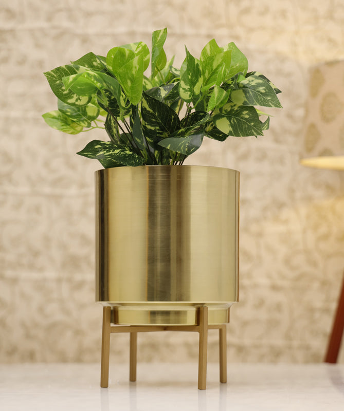 Buy Vida Ember Planter - Gold Pots & Planters from Vaaree