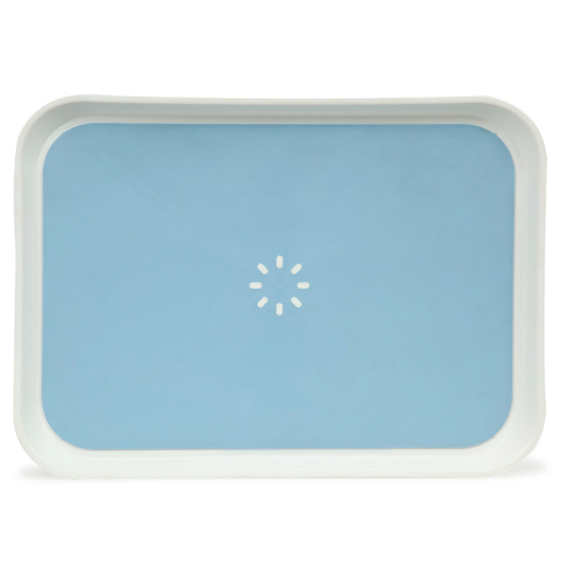 Buy Vance Tray - Blue Serving Tray from Vaaree