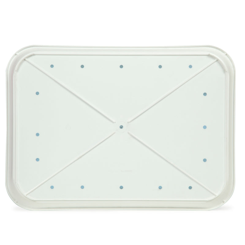 Buy Vance Tray - Blue Serving Tray from Vaaree