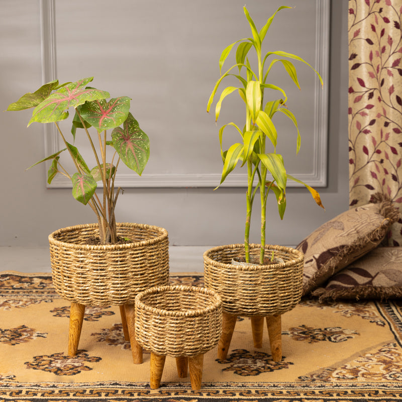 Buy Heartha Jute Planter (Brown) - Set Of Three Pots & Planters from Vaaree