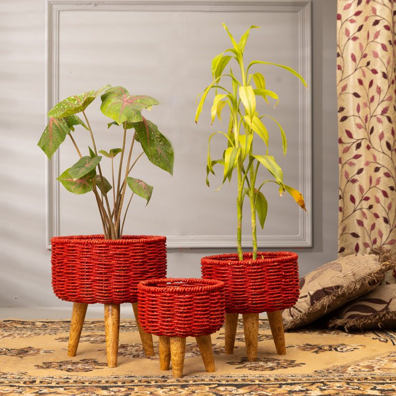 Buy Heartha Jute Planter (Red) - Set Of Three Pots & Planters from Vaaree