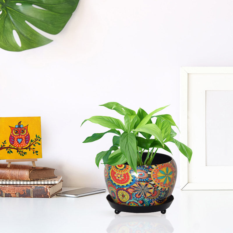 Buy Druva Ethnic Planter With Plate Pots & Planters from Vaaree