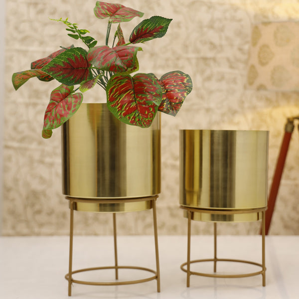 Buy Hemera Raagi Planter (Gold) - Set Of Two Pots & Planters from Vaaree