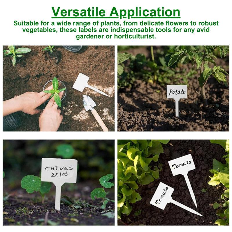 Buy Texto Plant Marker - Set Of Fifty Garden Accessories from Vaaree