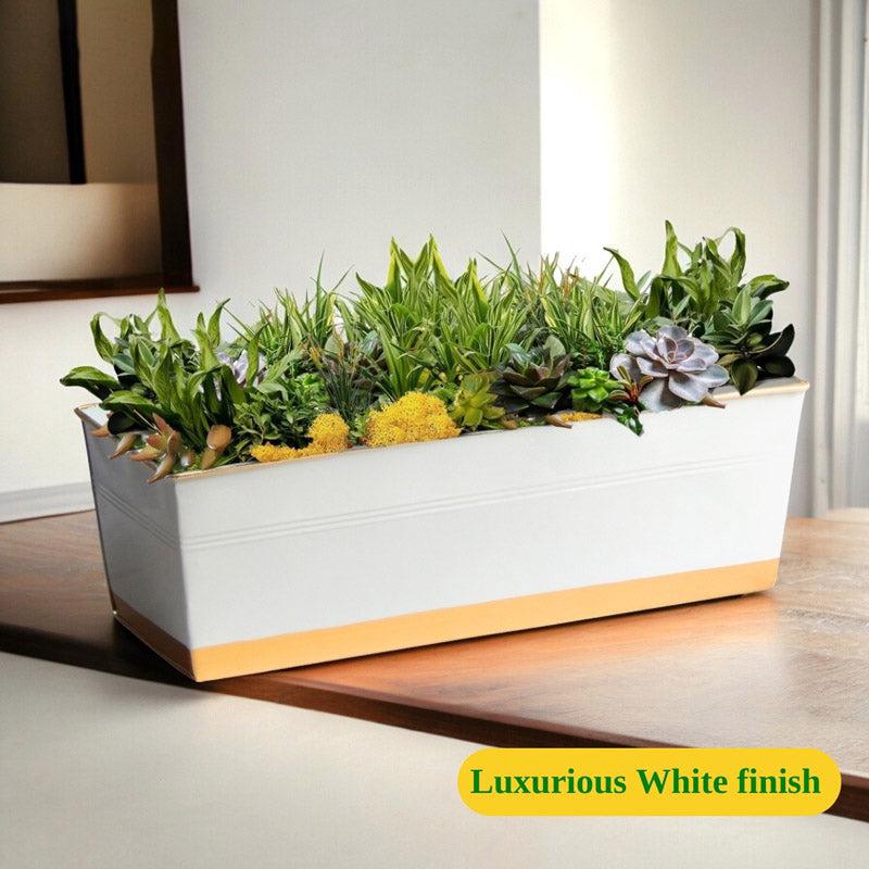 Buy Zutoia Black Planter - Grey Pots & Planters from Vaaree