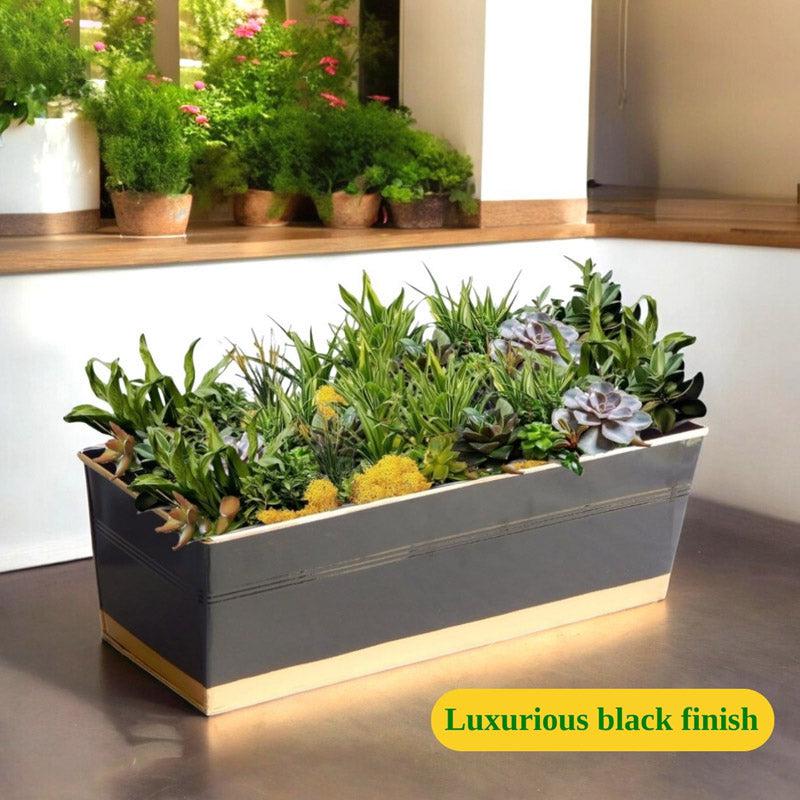 Buy Zutoia Black Planter - Black Pots & Planters from Vaaree