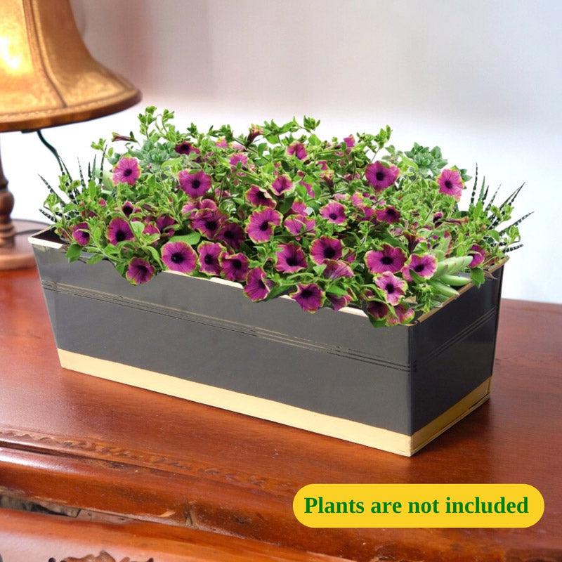 Buy Zutoia Black Planter - Black Pots & Planters from Vaaree