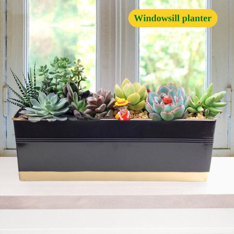 Buy Zutoia Black Planter - Black Pots & Planters from Vaaree