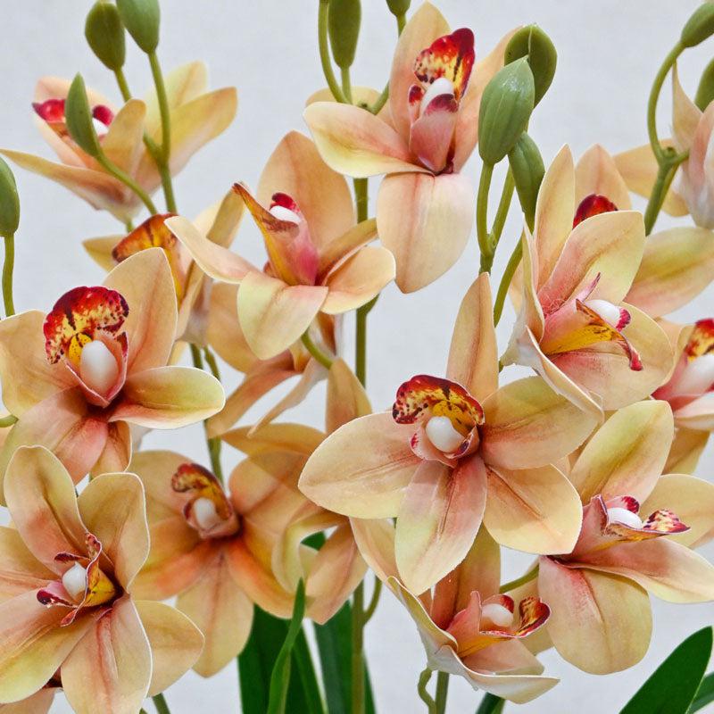 Buy Faux Everlasting Cymbidium Everlasting Orchid Flower Stick - Peach Artificial Flowers from Vaaree