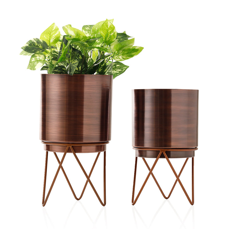 Buy Teodora Golden Planter (Antique Rose Gold) - Set Of Two Pots & Planters from Vaaree