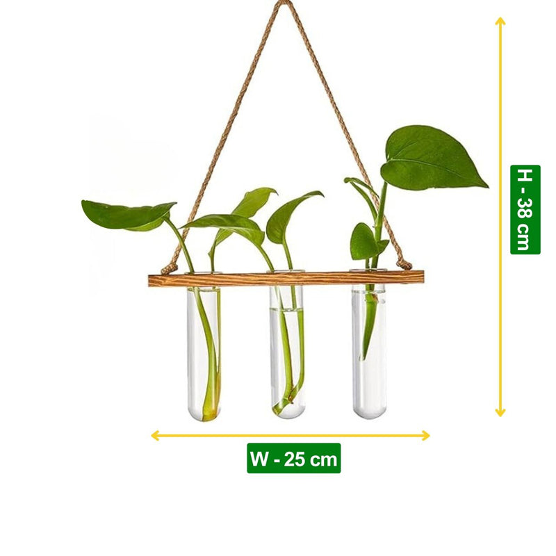 Buy Nava Hanging Test Tube Planter Pots & Planters from Vaaree