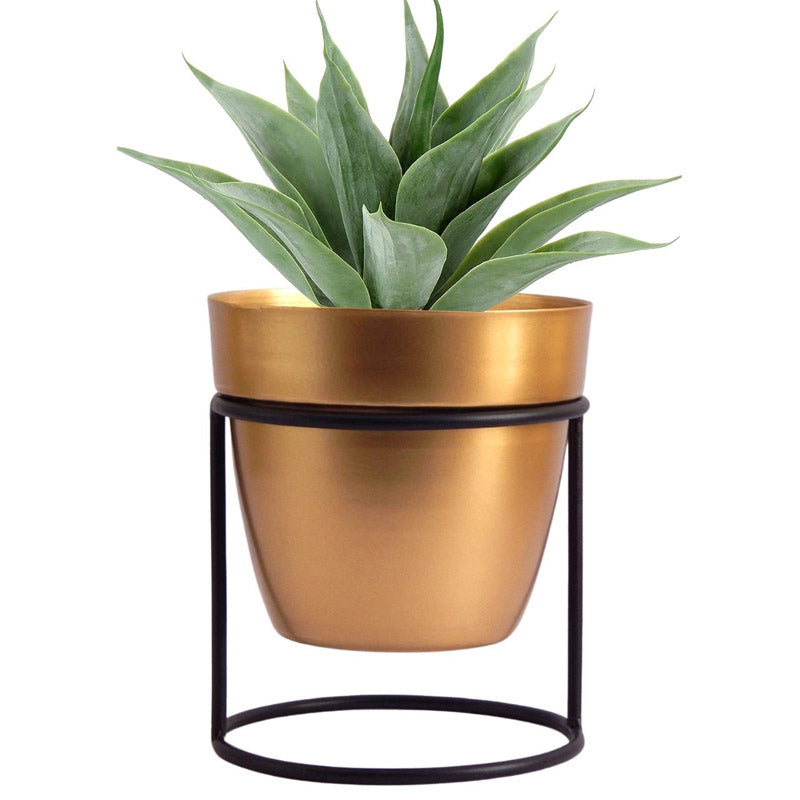 Buy Zutoia Black Planter - White Pots & Planters from Vaaree