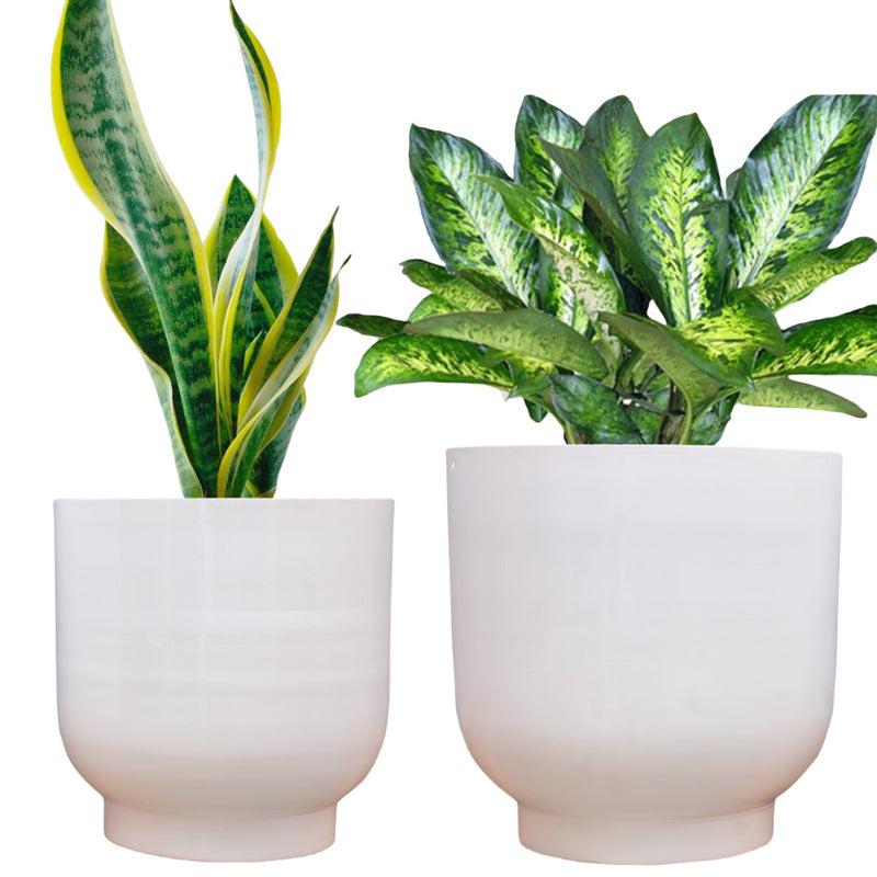 Buy Bromo Metal Planter (White) - Set Of Two Pots & Planters from Vaaree