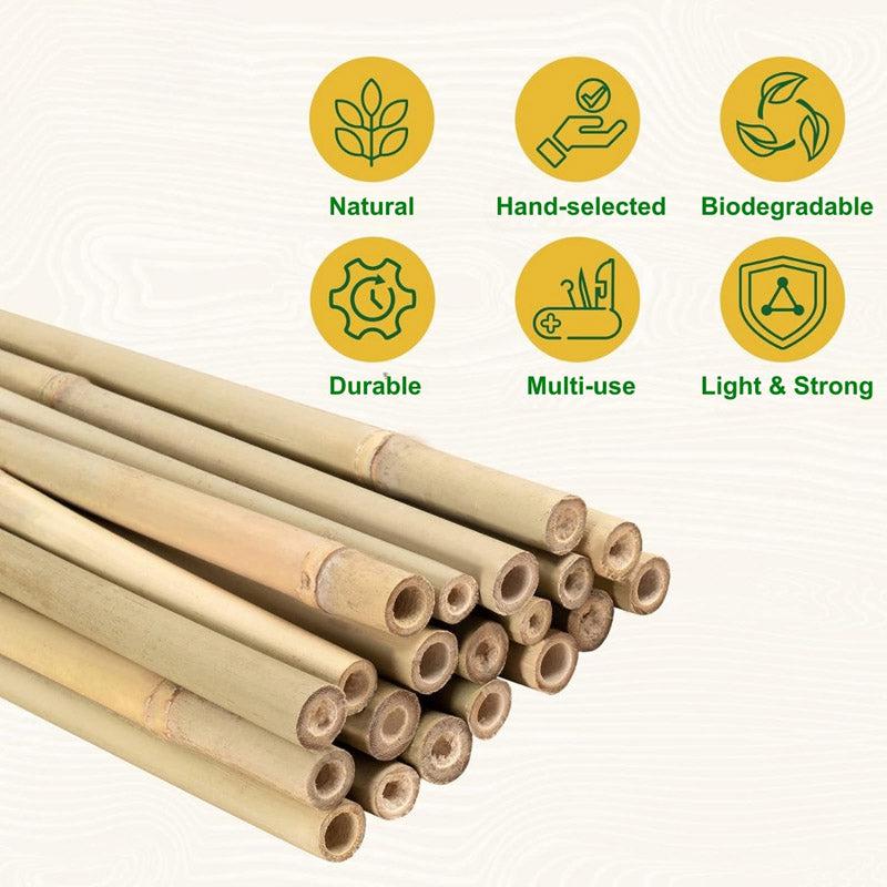 Buy Ferna Metal Plant Stake - Set Of Ten Garden Accessories from Vaaree