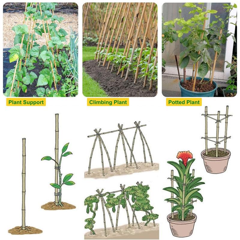 Buy Ferna Metal Plant Stake - Set Of Ten Garden Accessories from Vaaree