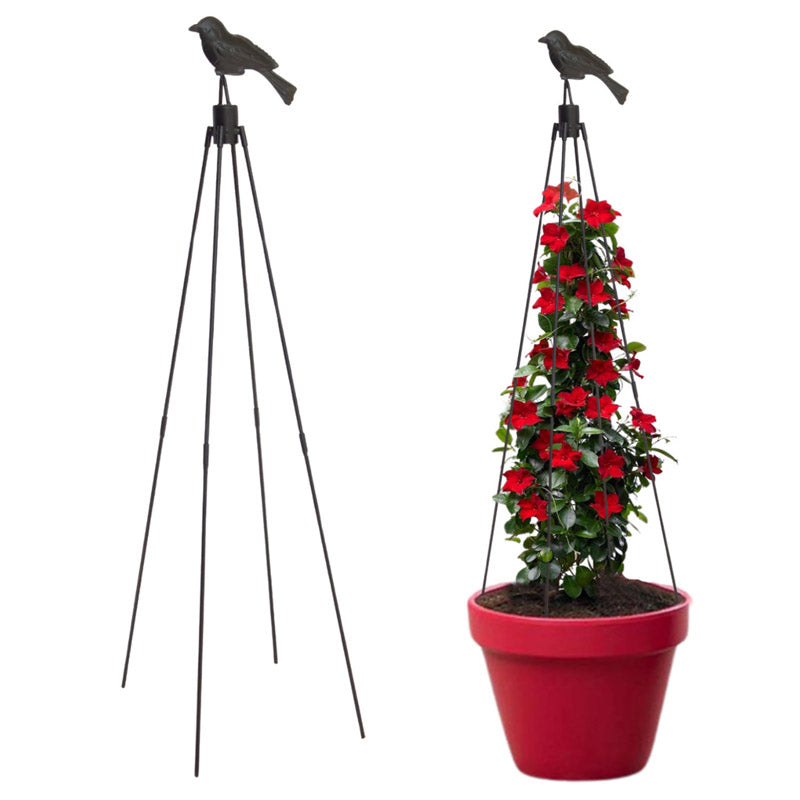 Buy Tripo Metal Plant Stake Garden Accessories from Vaaree