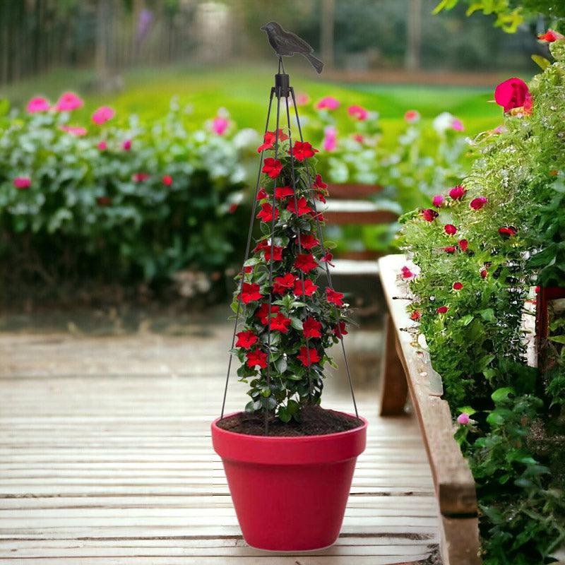 Buy Alova Metal Plant Stake - Set Of Two Garden Accessories from Vaaree