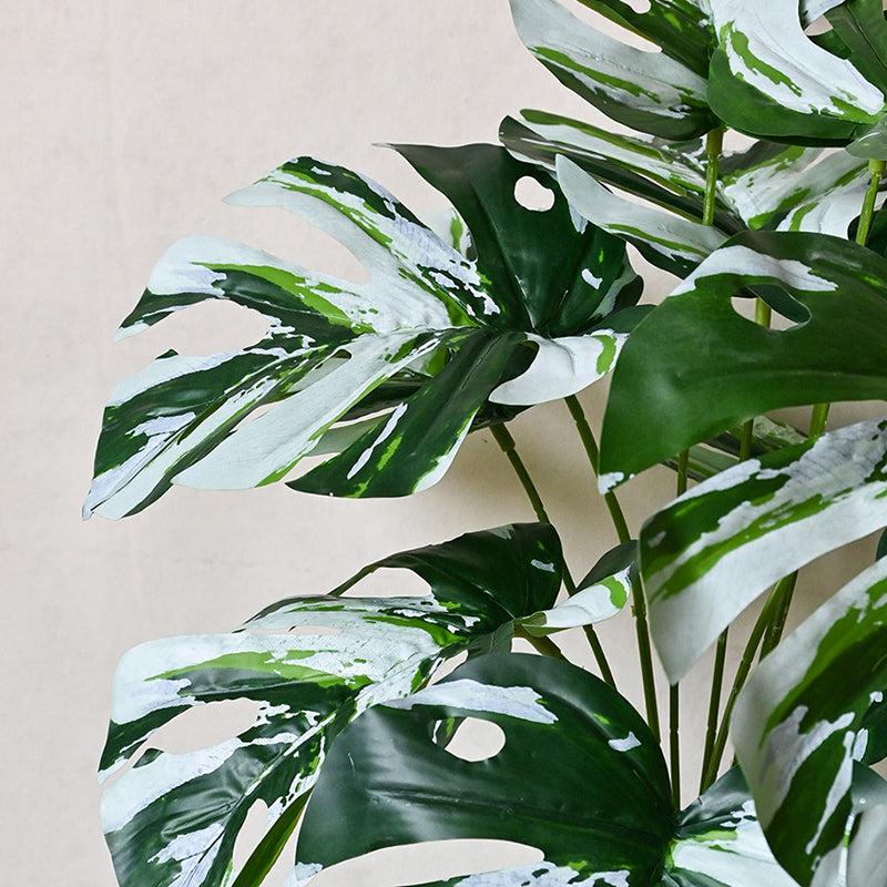 Buy Faux Everlasting Monstera Plant With Pot - 2.0 Feet Artificial Plants from Vaaree