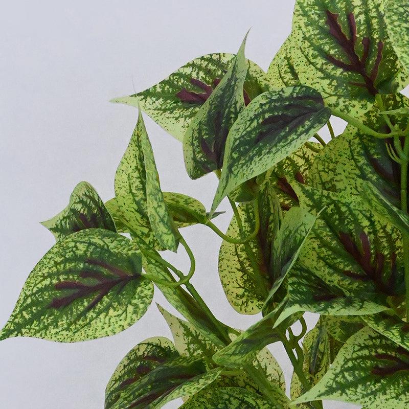 Buy Faux Everlasting Dragon Heart Coleus Plant With Pot - 48 Cms Artificial Plants from Vaaree