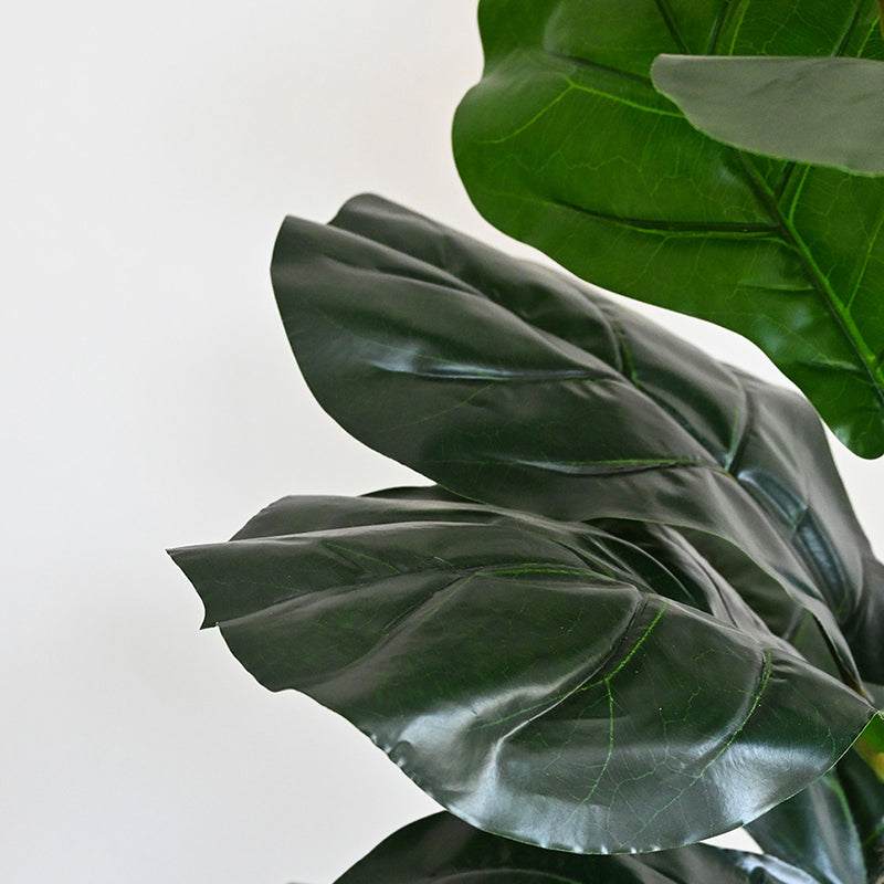 Buy Faux Ever lasting Fiddle-Leaf Fig Plant With Pot - 2.2 Feet Artificial Plants from Vaaree