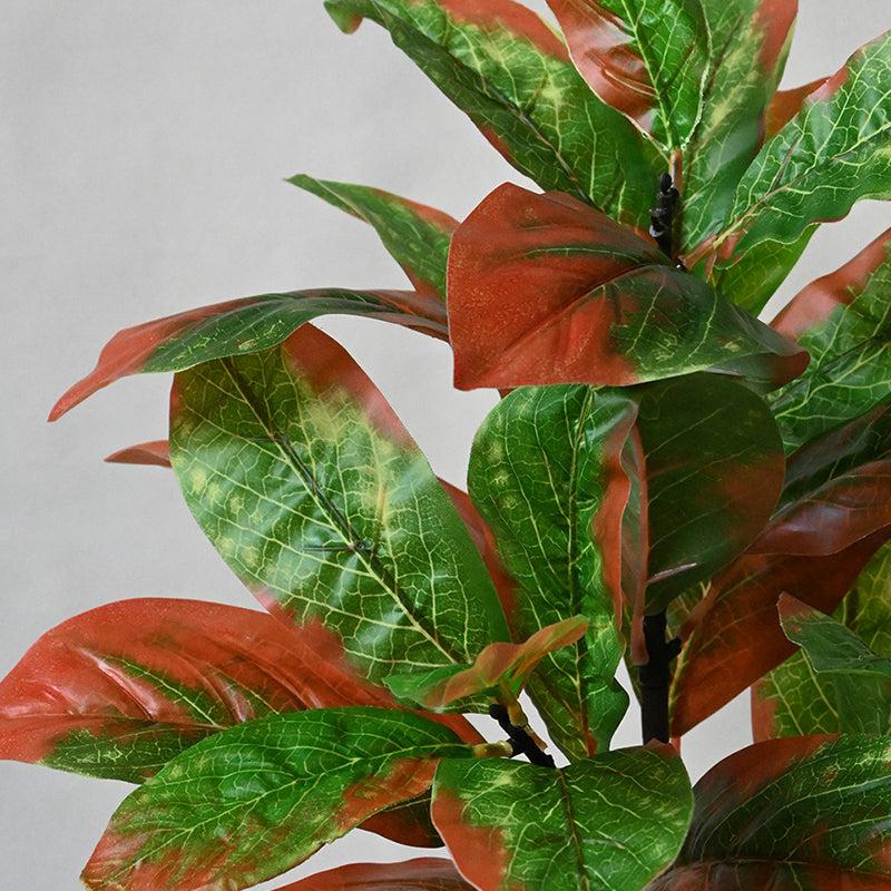 Buy Faux Everlasting Croton Plant With Pot - 2.5 Feet Artificial Plants from Vaaree