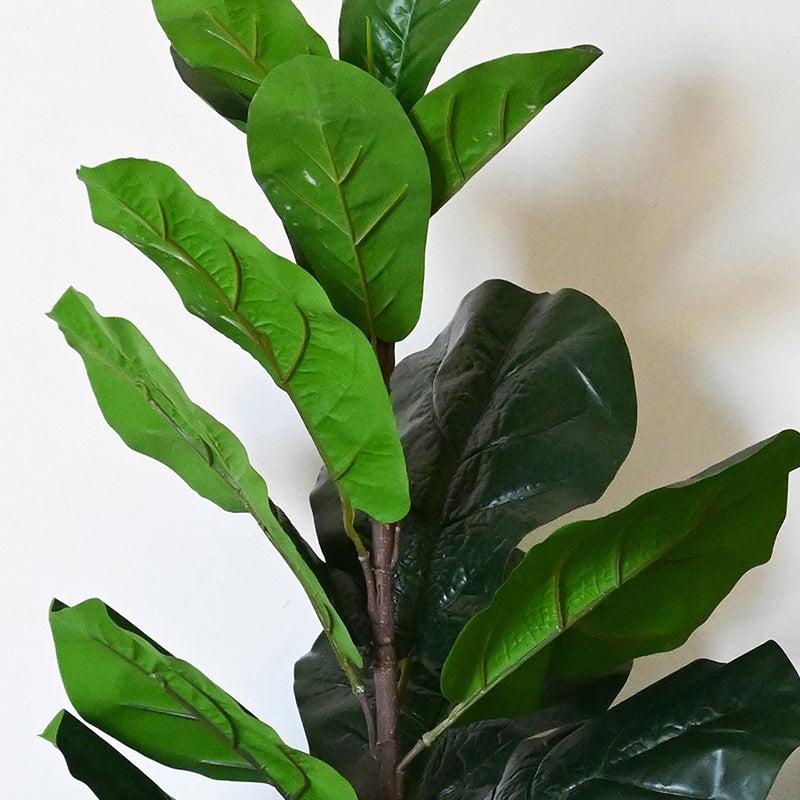 Buy Faux Everlasting Fiddle-Leaf Fig Plant With Pot - 2.9 Feet Artificial Plants from Vaaree