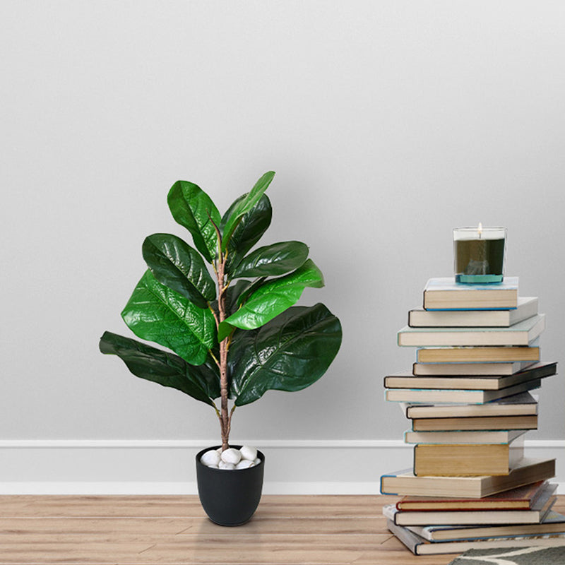 Buy Faux Everlasting Fiddle-Leaf Fig Plant With Pot - 58 Cms Artificial Plants from Vaaree