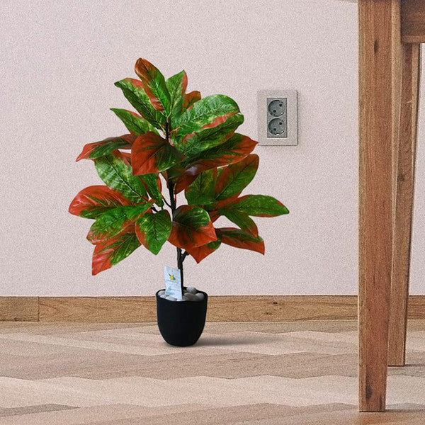 Buy Faux Everlasting Croton Plant With Pot - 2.5 Feet Artificial Plants from Vaaree