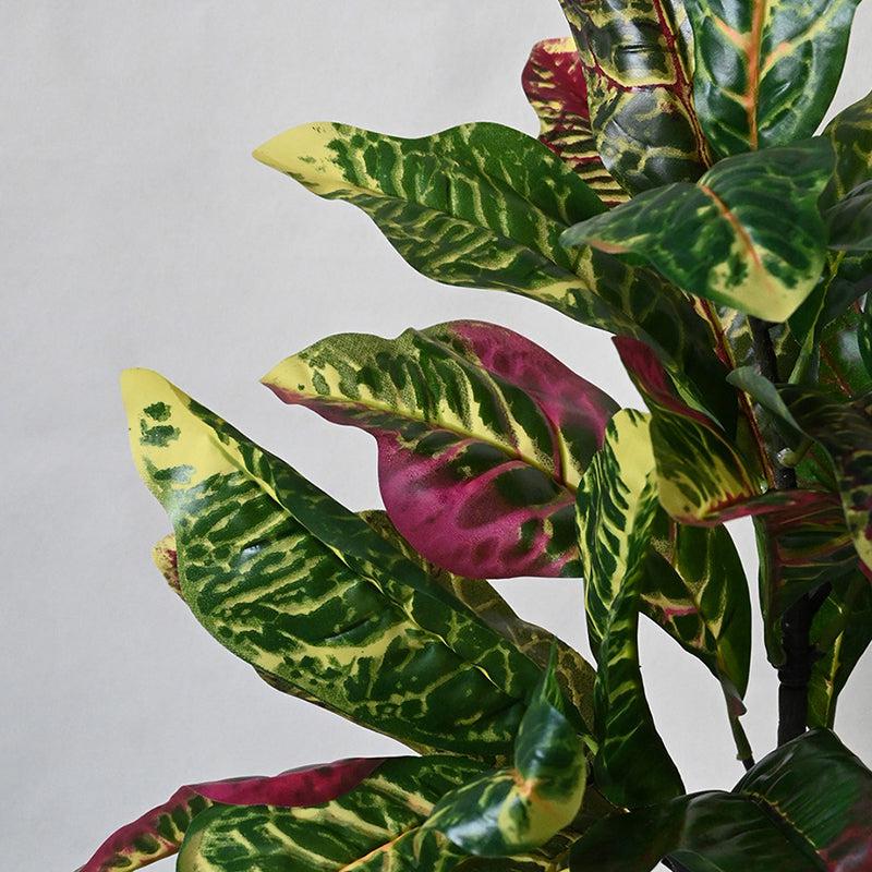 Buy Faux Everlasting Garden Croton Plant With Pot - 2.5 Feet Artificial Plants from Vaaree