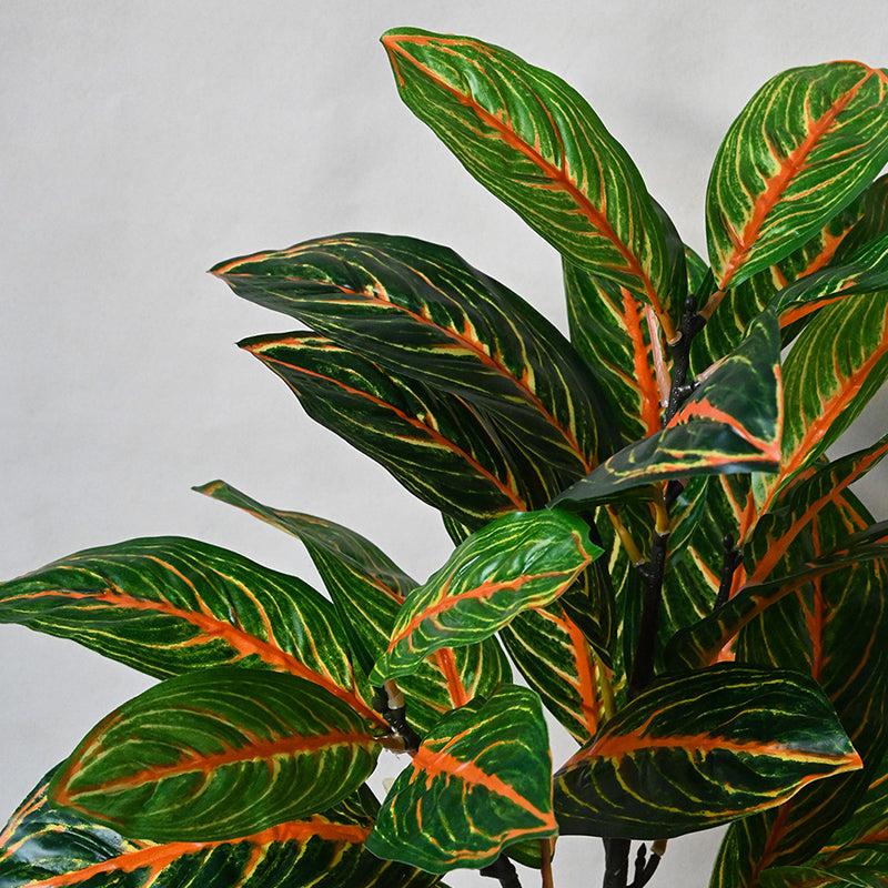 Buy Faux Everlasting Aglaonema Plant With Pot - 2.5 Feet Artificial Plants from Vaaree