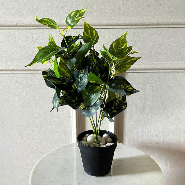 Buy Faux Everlasting Golden Pothos Plant With Pot - 48 Cms Artificial Plants from Vaaree