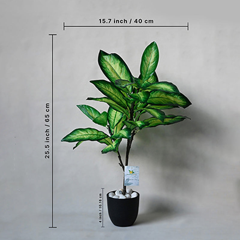 Buy Faux Everlasting Dieffenbachia Seguine Plant With Pot - 2.5 Feet Artificial Plants from Vaaree