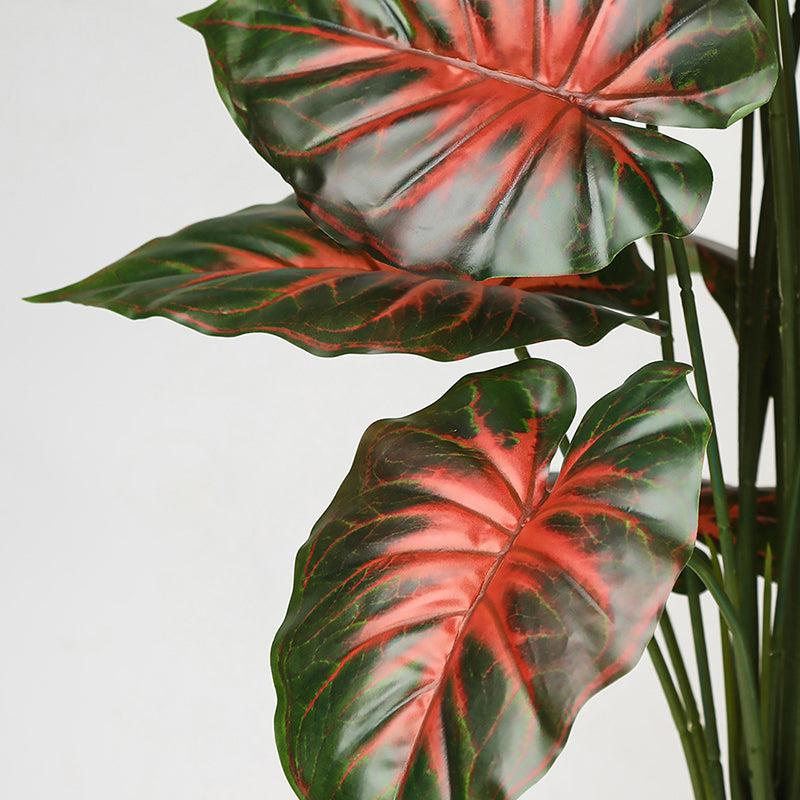 Buy Faux Everlasting Calathea Orbifolia Plant With Pot - 2.5 Feet Artificial Plants from Vaaree