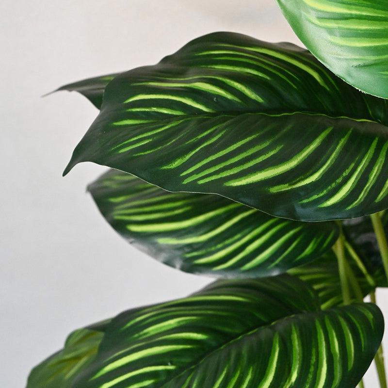 Buy Faux Everlasting Monstera Plant With Pot - 2.5 Feet Artificial Plants from Vaaree