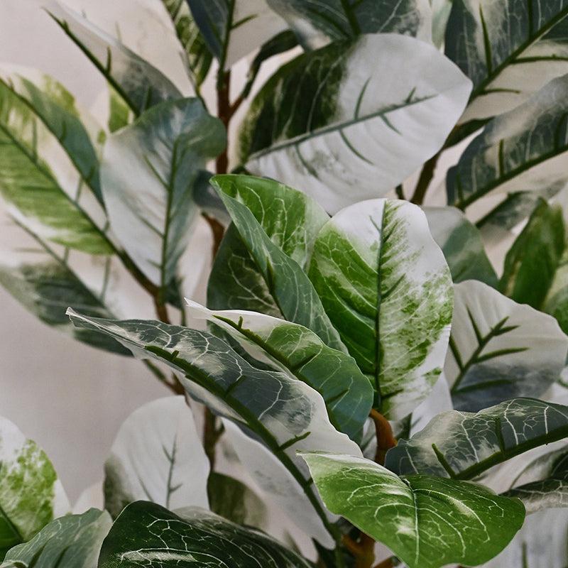 Buy Faux Everlasting White Croton Tree With Pot - 3.7 Feet Artificial Plants from Vaaree