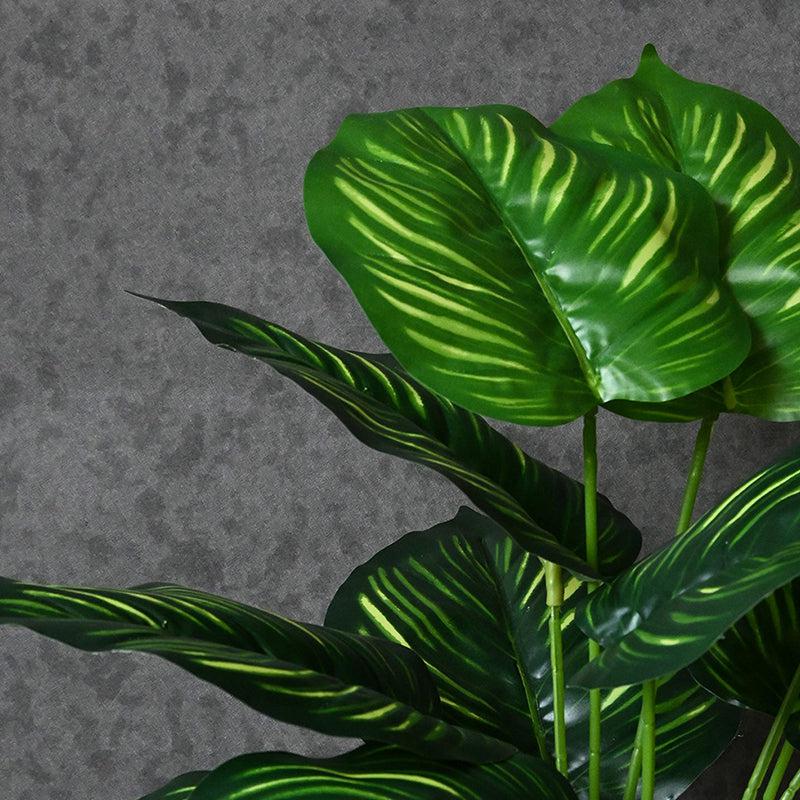 Buy Faux Everlasting Calathea Orbifolia Plant With Pot - 2.2 Feet Artificial Plants from Vaaree