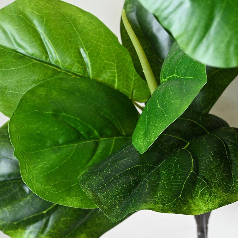 Buy Faux Everlasting Fiddle-Leaf Fig Plant With Pot - 2.4 Feet Artificial Plants from Vaaree