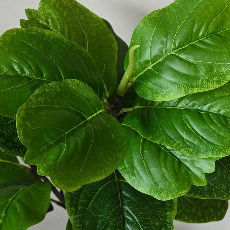 Buy Faux Everlasting Fiddle Leaf Fig Plant With Pot - 2.4 Feet Artificial Plants from Vaaree